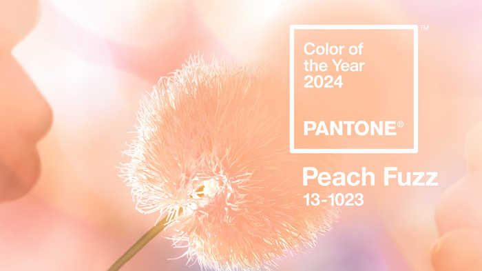 Color of the Year - Peach Fuzz Color Palette Inspiration!