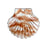 Pendant, Clamshell Seashell 34.5x32.5mm, Enameled Brass Autumn Orange, by Gardanne Beads (1 Pair)