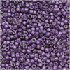 Miyuki Delica Seed Beads, 11/0, Galvanized Silver Frost Eggplant Purple DB1185 (2.5