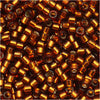 Miyuki Delica Seed Beads, 11/0 Size, Silver Lined Amber DB144 (2.5