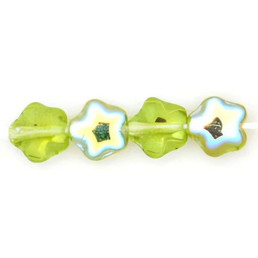 Czech Stars 6mm Olivine AB (50pcs)