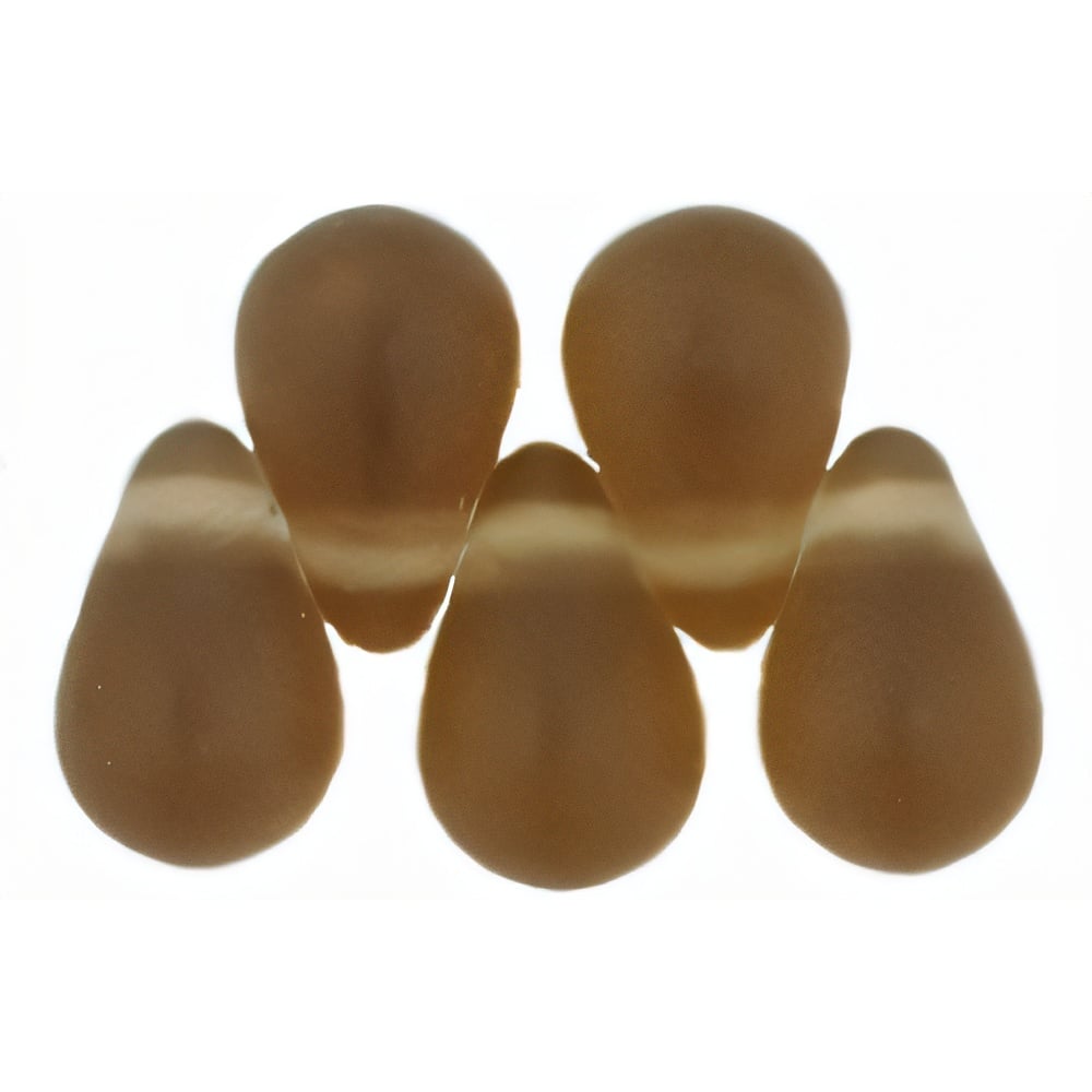 Czech Tear Drops 6 x 4mm Matte - Smoky Topaz
