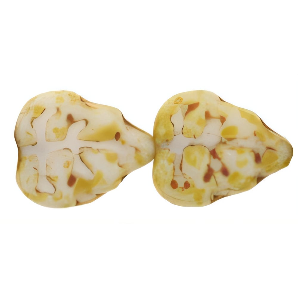 Czech Leaves 10 x 8mm Vertical Hole Opaque White - Picasso (25pcs)