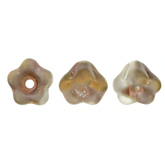 Czech Baby Bell Flowers 6 x 4mm Matte - Apollo - Gold (50pcs)