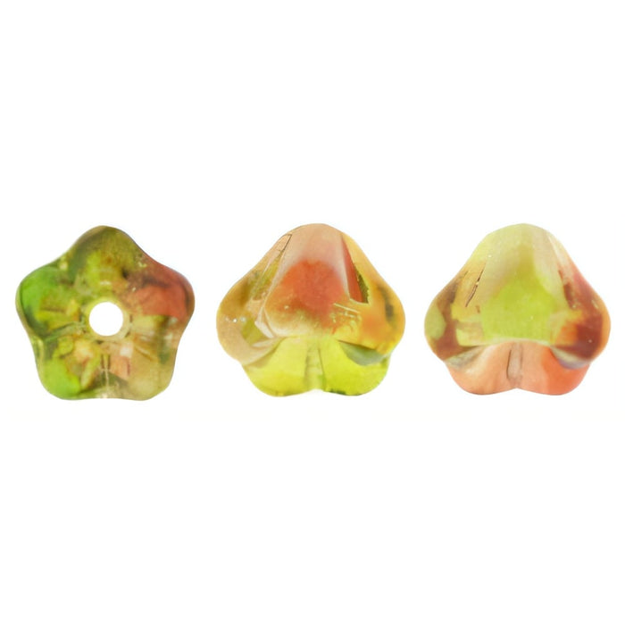 Czech Baby Bell Flowers 6 x 4mm Dual Coated - Peach/Pear (50pcs)