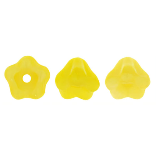 Czech Baby Bell Flowers 6 x 4mm Coral Lemon (50pcs)