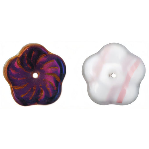 Czech Pinwheel Flower 12mm Blue Iris - Peppermint Twist (50pcs)