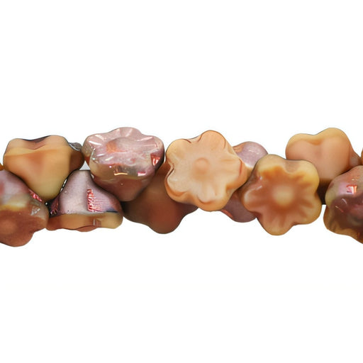 Czech Button Style Bead Flower 7mm Matte - Apollo - Carmel/Pink (50pcs)