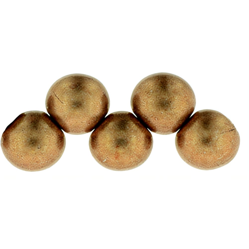 Czech Top Hole Round 6mm ColorTrends: Saturated Metallic Warm Taupe (25pcs)