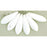 Czech Dagger 16 x 5mm Opaque White (50pcs)
