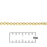 2.5mm Gold Plated Rolo Chain by the Foot