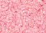 Cylin Seed Beads 11/0 - 25g Bag - Glow in the Dark - Pink AB