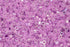 Cylin Seed Beads 11/0 - 25g Bag - Glow in the Dark - Purple AB