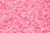 Cylin Seed Beads 11/0 - 25g Bag - Glow in the Dark - Rose