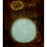 Cylin Seed Beads 11/0 - 25g Bag - Glow in the Dark - Purple