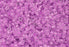 Cylin Seed Beads 11/0 - 25g Bag - Glow in the Dark - Purple