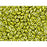 Matubo SuperDuo 2 x 5mm Metalust Yellow Gold 2-Hole Seed Bead 2.5-Inch Tube