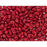 Matubo SuperDuo 2 x 5mm Metalust Matte Lipstick Red 2-Hole Seed Bead 2.5-Inch Tube