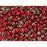 Matubo SuperDuo 2 x 5mm Apollo Opaque Red 2-Hole Seed Bead 2.5-Inch Tube