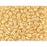 Matubo SuperDuo 2 x 5mm Opaque Beige Luster 2-Hole Seed Bead 2.5-Inch Tube