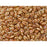 Matubo SuperDuo 2 x 5mm White Apricot 2-Hole Seed Bead 2.5-Inch Tube