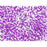 Matubo SuperDuo 2 x 5mm Light Purple-Lined Crystal 2-Hole Seed Bead 2.5-Inch Tube