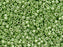 Miyuki 11/0 Galvanized Lt Green Delica Seed Beads 2.5-Inch Tube