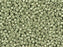 Miyuki 11/0 Galvanized Matte Aloe Green Delica Seed Beads 2.5-Inch Tube