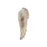Pendant, Wing 52x17.5mm, Enameled Brass Cream White, by Gardanne Beads (1 Piece)