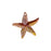 Pendant, Starfish 40x37.5mm, Enameled Brass Yellow, by Gardanne Beads (1 Piece)