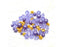 Jesse James Beads Austrian Crystal & Pearl Bead Mix Violet
