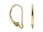 Gold-Filled Interchangeable Lever-Back (2 Pieces)