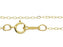 Gold-Filled 14K/20 16-Inch 922 Hammered Cable Chain Necklace (1 Piece)