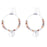 Gemstone & Coin Drop Earrings  - Venus Jasper / Silver