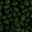 PRECIOSA Czech Glass Drop Bead Strand 6x9mm, Velvet Dark Green