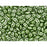 Matubo SuperDuo 2 x 5mm Olive Pearl Coat 2-Hole Seed Bead 2.5-Inch Tube