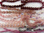 Czech Glass Bead Mix - Velvet Rosé