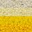 Exclusive Beadaholique Designer Palette, Toho Seed Bead Mix, Round 11/0, Ombre Yellow (4 Color Set)