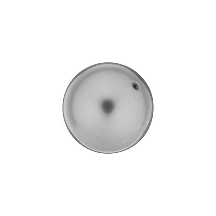 PRESTIGE Crystal, #5810 Round Pearl Bead 10mm, Grey (1 Piece)