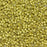 Toho Aiko Seed Beads, 11/0 #559F 'Galvanized Matte Yellow Gold' (4 Grams)