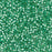 Toho Aiko Seed Beads, 11/0 #PF2119 'PermaFinish Translucent Silver-Lined Dk Peridot' (4 Grams)