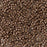 Toho Aiko Seed Beads, 11/0 #PF556F 'PermaFinish Galvanized Matte Mocha Frost' (4 Grams)