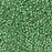 Toho Aiko Seed Beads, 11/0 #PF570F 'PermaFinish Galvanized Matte Mint Green' (4 Grams)