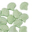 Czech Glass, 2-Hole Ginko Beads 7.5mm, Chalk Green Luster (10 Grams)