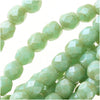 Czech Fire Polished Glass Beads 4mm Round 'Opaque Pale Turquoise Star Dust' (50 pcs)