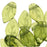 Czech Glass Beads 10mm Twisted Olivine Leaf Leaves (50 pcs)
