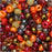 Czech Glass Seed Beads, 6/0 Round, Autumn Mix (1 Ounce)