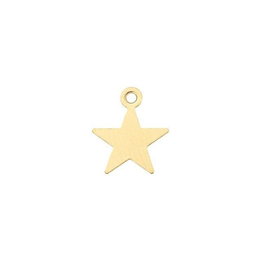 Charm, Blank Star 9.5x8mm, Gold Filled (1 Piece)