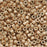 Miyuki Delica Seed Beads, 11/0 Size, Galvanized Silver Frost Champagne DB1152 (2.5" Tube)