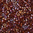 Miyuki Delica Seed Beads, 11/0 Size, #1750 Sparkling Beet Lined Root Beer AB (7.2 Gram Tube)